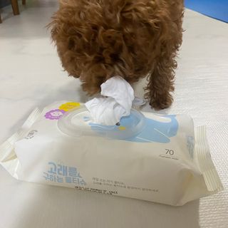 어쩌다서른짤님이 올린 리뷰 사진 1