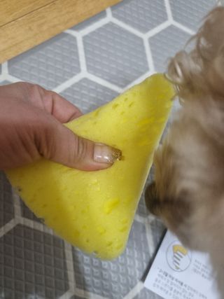 진쓰님이 올린 리뷰 사진 4