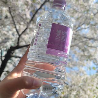 이째님이 올린 리뷰 사진 3