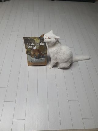 파비올라님이 올린 리뷰 사진 3