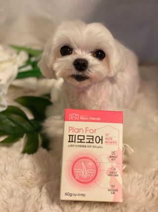 구니구니구니님이 올린 리뷰 사진 1