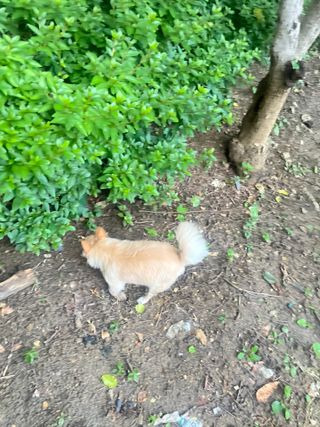 Lucy님이 올린 리뷰 사진 3