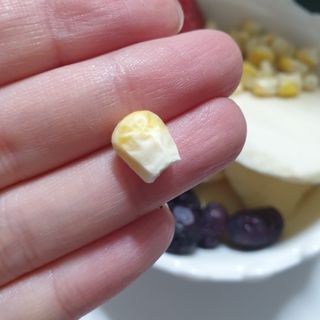lala님이 올린 리뷰 사진 4