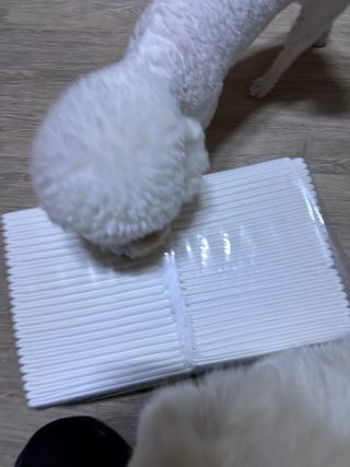 Bella님이 올린 리뷰 사진 1
