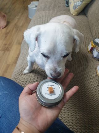 진진이님이 올린 리뷰 사진 4