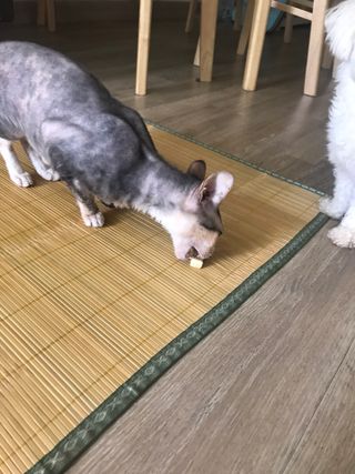 이아님이 올린 리뷰 사진 2