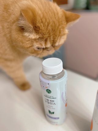딸기우유님이 올린 리뷰 사진 4