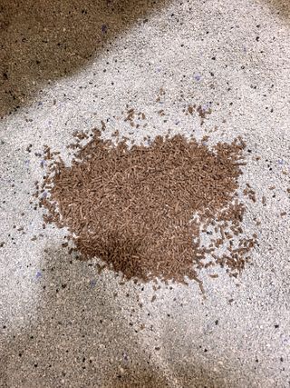 으나님이 올린 리뷰 사진 3