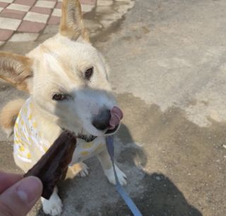 쭈부님이 올린 리뷰 사진 2