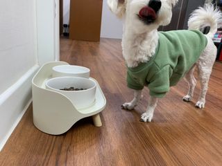 수성님이 올린 리뷰 사진 3