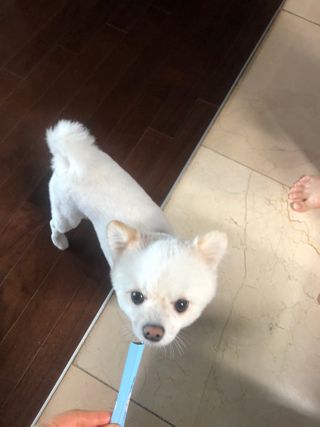 나나나님이 올린 리뷰 사진 2