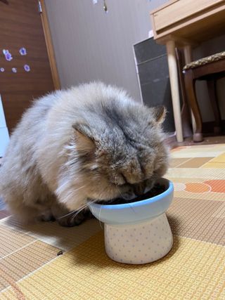 하린님이 올린 리뷰 사진 3