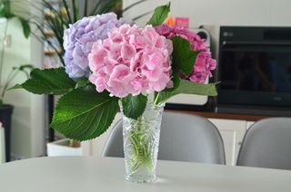 JAY님이 올린 리뷰 사진 4