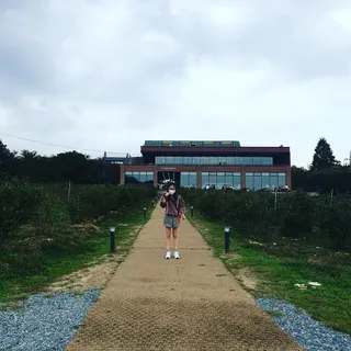 구슬이님이 올린 리뷰 사진 4