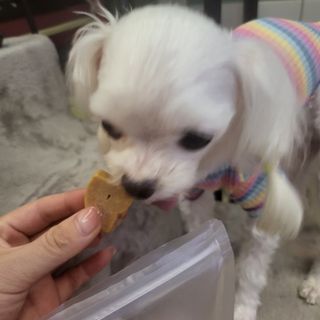 다섯나미님이 올린 리뷰 사진 1