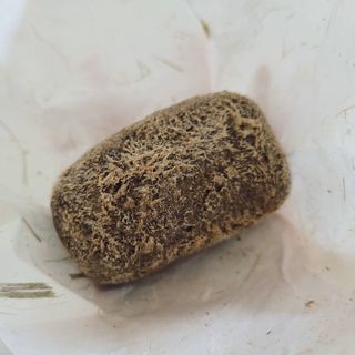 코코님이 올린 리뷰 사진 2