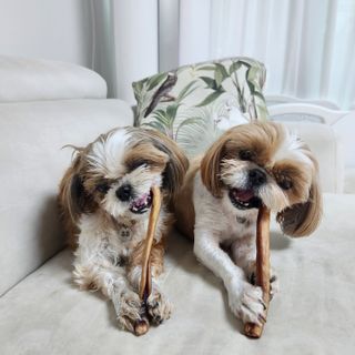베베츄님이 올린 리뷰 사진 1
