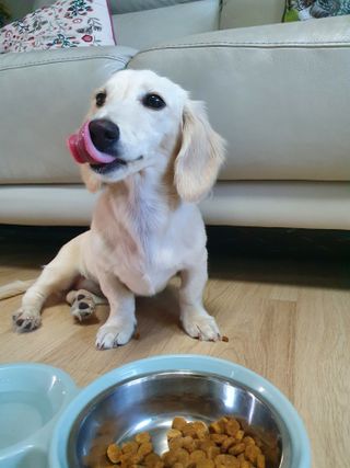 PDKIM님이 올린 리뷰 사진 3