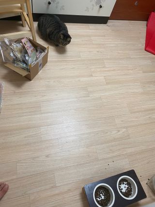 KSJ님이 올린 리뷰 사진 3