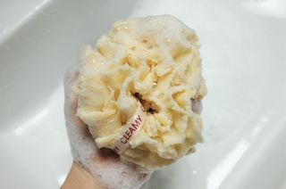 보니타_가희님이 올린 리뷰 사진 3