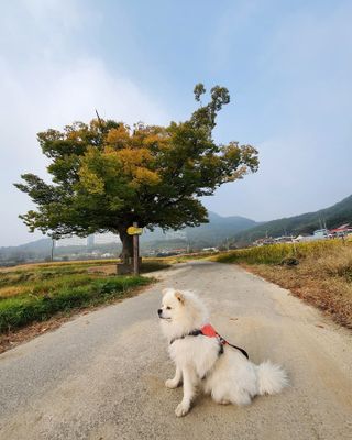 DuRiShin님이 올린 리뷰 사진 1