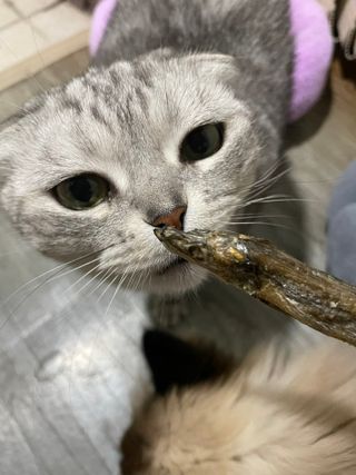 2준2님이 올린 리뷰 사진 4