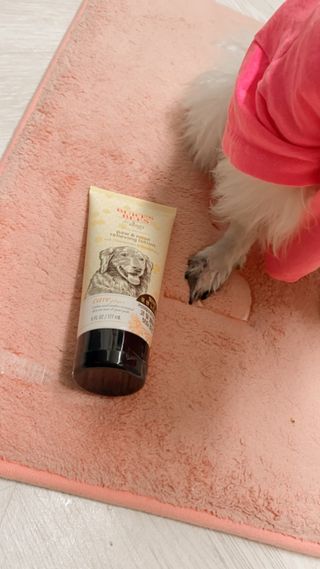 버츠비 케어플러스 릴리빙포앤노즈로션 — 5점을 준 리뷰어가 2021년 4월 올린 사용 사진