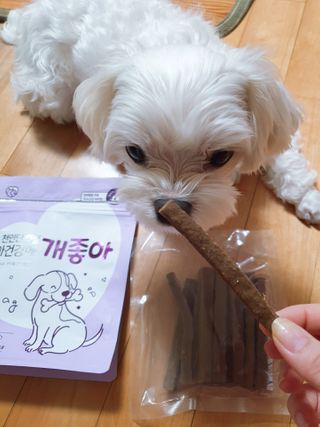 My Pet Care 천연단백질 눈건강에 개좋아 — 5점을 준 리뷰어가 2021년 1월 올린 사용 사진