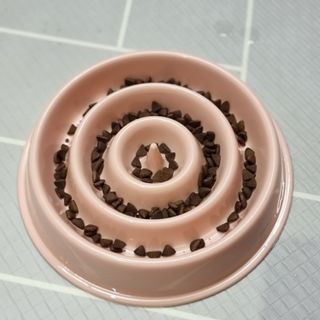 [푸디웜] 라포그  리얼인섹트 관절 저알러지 강아지 사료  1.2KG — 5점을 준 리뷰어가 2022년 8월 올린 사용 사진