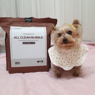 솜희님이 올린 리뷰 사진 4