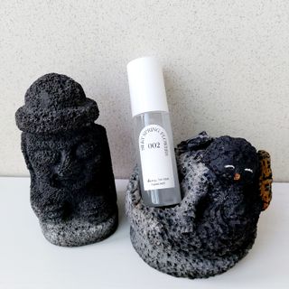 디어포레스트 [5개세트] 숲속의 하루 패브릭미스트 (섬유향수/ 룸스프레이) 50ml 5개 — 5점을 준 리뷰어가 2022년 10월 올린 사용 사진