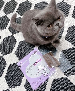 sehee님이 올린 리뷰 사진 2