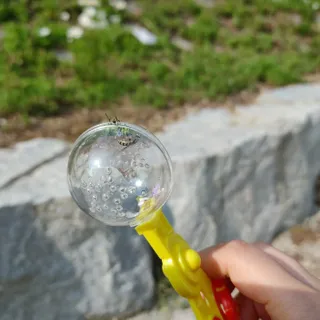 꼬물이님이 올린 리뷰 사진 4