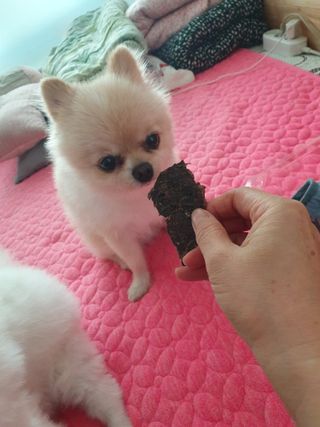 보미누나님이 올린 리뷰 사진 2