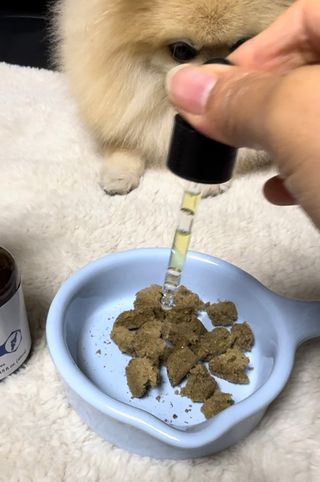 뽀야니님이 올린 리뷰 사진 3
