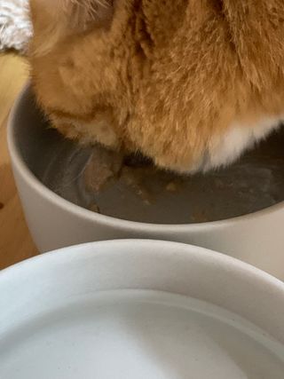 햅쁌님이 올린 리뷰 사진 3