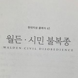 92883님이 올린 리뷰 사진 2