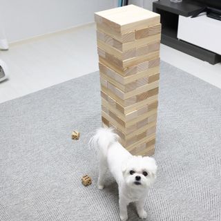 송린깡님이 올린 리뷰 사진 1