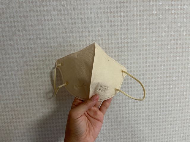 알도 에코슈브 성인 마스크 (대형) 리뷰 사진