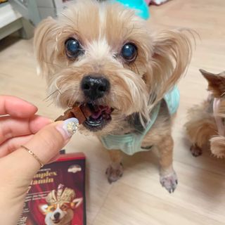 오렌지실버님이 올린 리뷰 사진 2