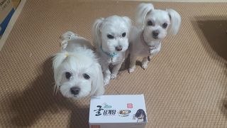 공팔리터님이 올린 리뷰 사진 2