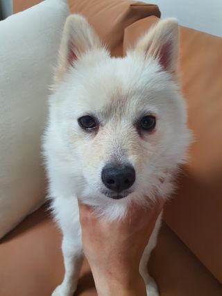 Hyoss님이 올린 리뷰 사진 3