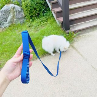 써니곰님이 올린 리뷰 사진 2