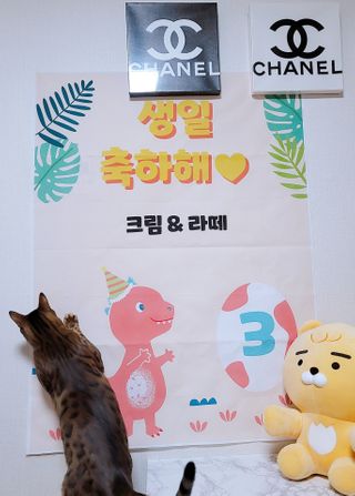 효니님이 올린 리뷰 사진 2