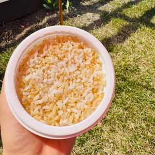 [구매평]양반 동원 양반 100밥 현미밥, 130g, 12개 — 5점을 준 리뷰어가 2025년 4월 올린 사용 사진