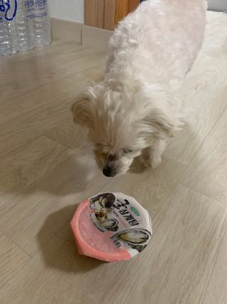 김주은님이 올린 리뷰 사진 4
