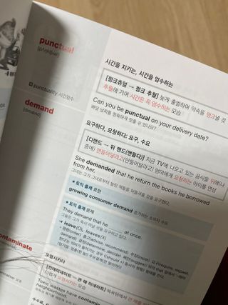 차세라님이 올린 리뷰 사진 4