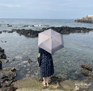 박보름님이 올린 리뷰 사진 1