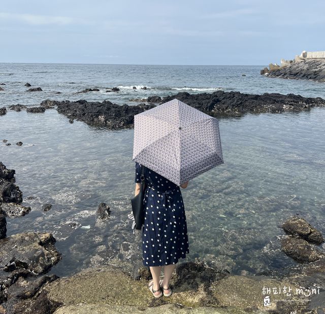 소옥 초경량 5단 암막 양우산 4종 리뷰 사진