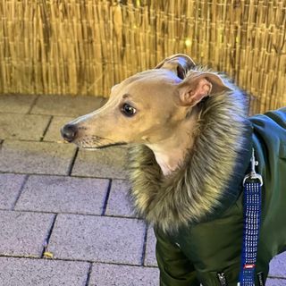 JeonEunju님이 올린 리뷰 사진 2